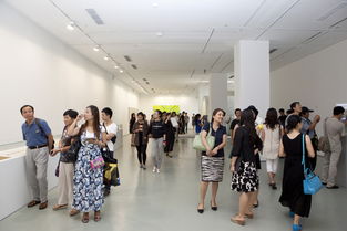 第十二屆全國美展實驗藝術展區(qū)在北京開幕 推動文化藝術交流新篇章